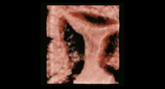 gynecologist-1.jpg